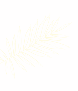 feuille 2 1