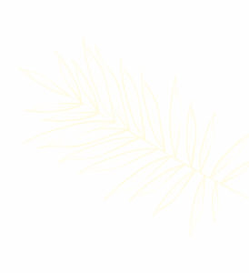 feuille 2 2