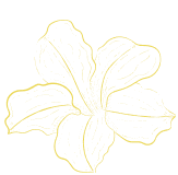 fleur jaune